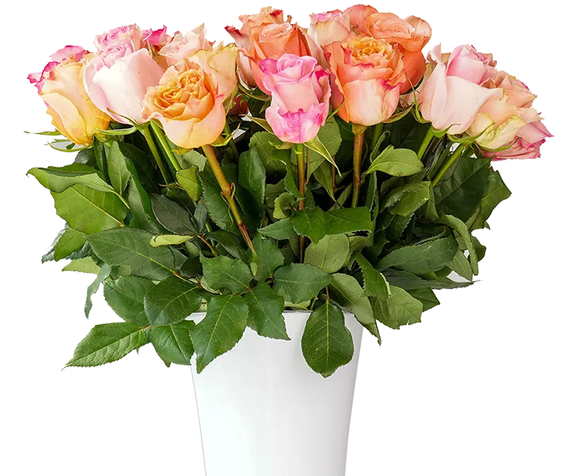 Pastell Rosenstrauß Illustration