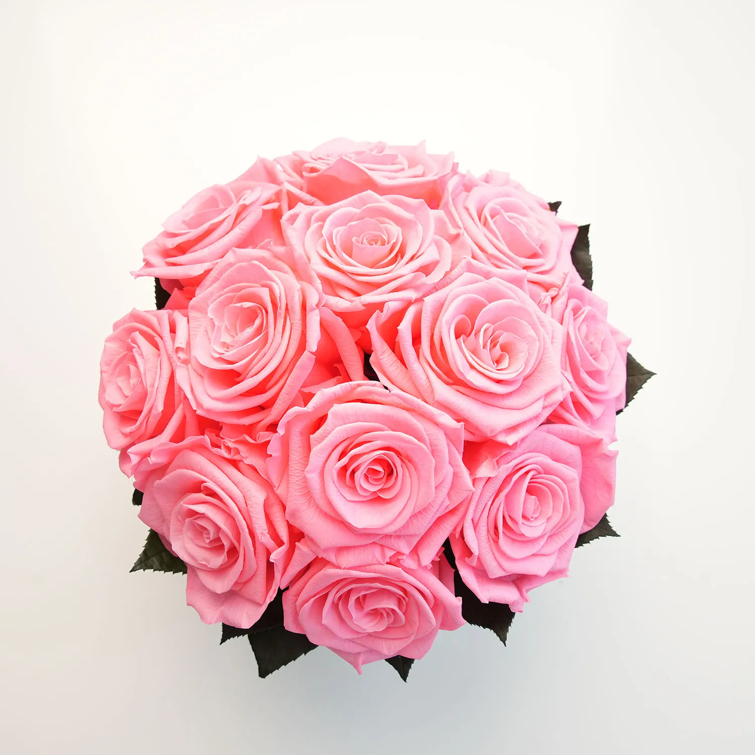 Infinity Crackle Keramikschale mit rosa Rosen Brillant