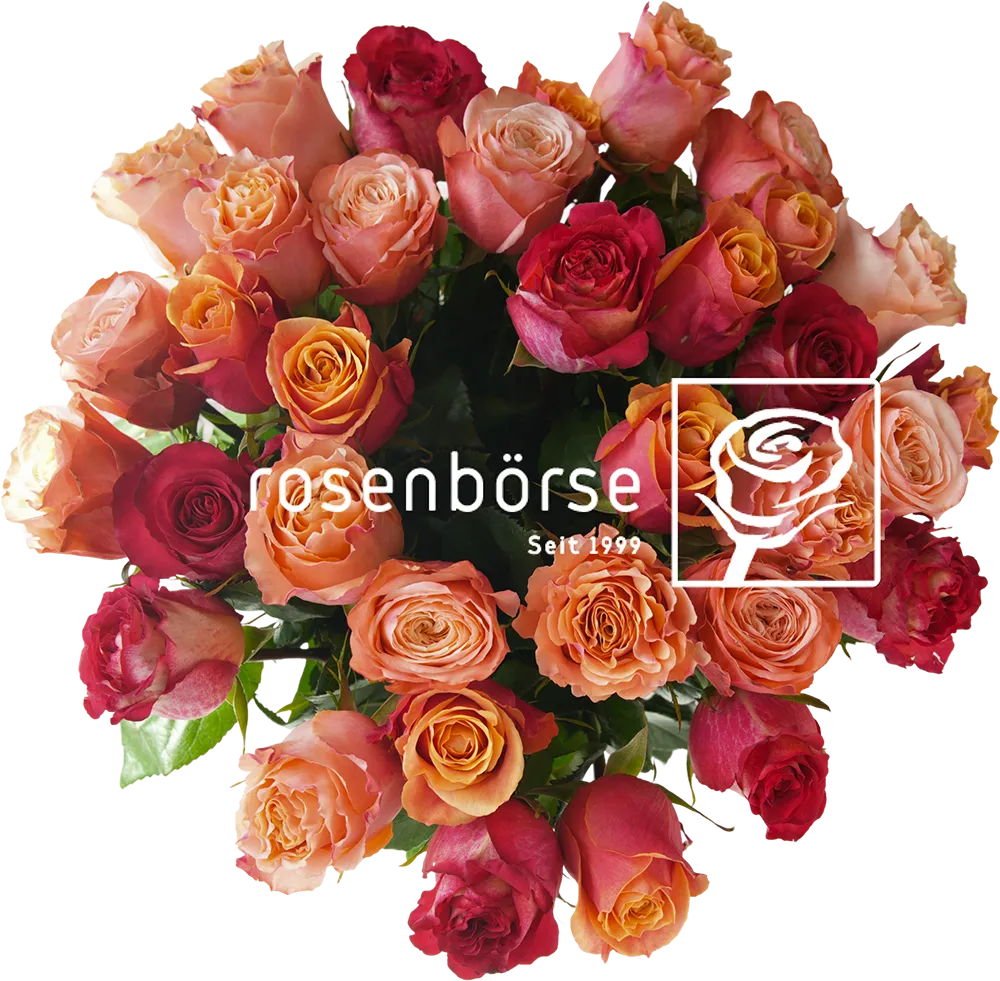 Über uns Rosenbörse Bild